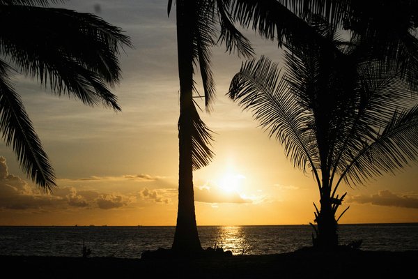 Découvrez rome en 3 jours : itinéraire essentiel pour explorer